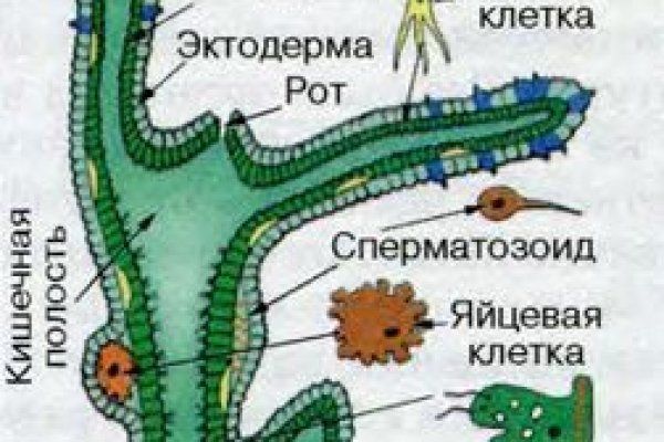 Кракен даркнет только через тор скачать