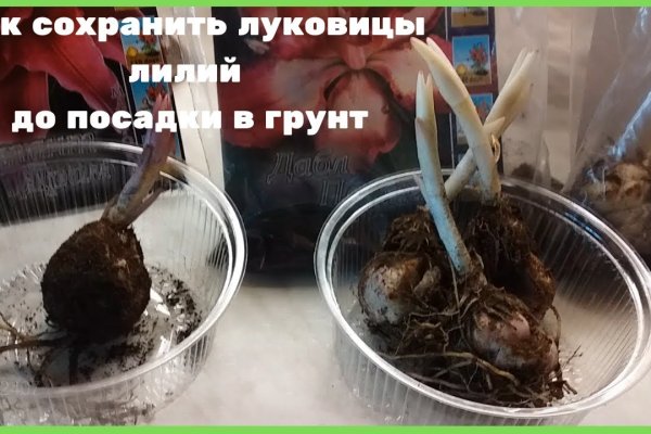 Kraken рынок