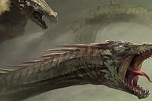Kraken 19 at сайт