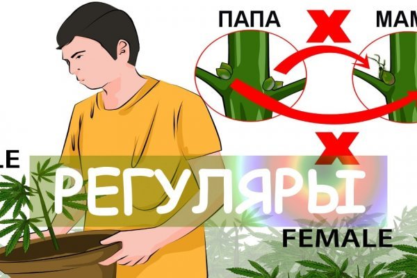 Где найти ссылку на кракен