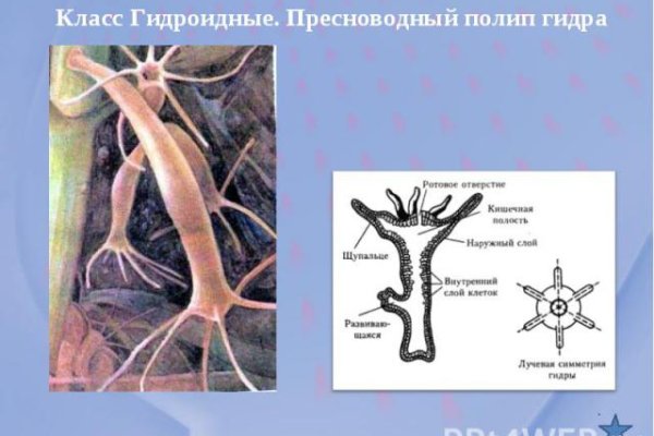 Kraken пользователь не найден при входе